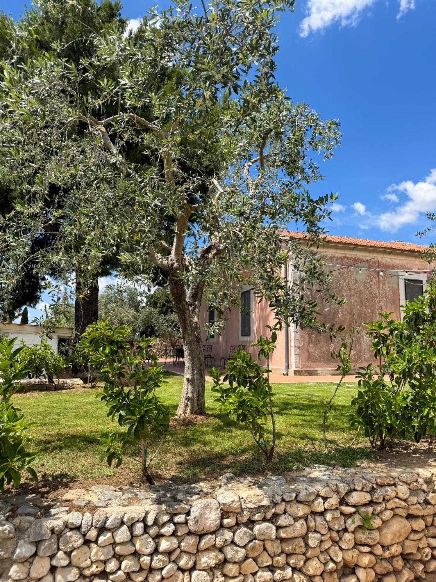 Signor Cesare Agrobistrot B&B San Giovanni Rotondo Exteriör bild